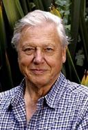 Articles david attenborough patrons web