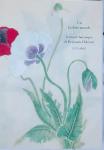 Un herbier-monde :