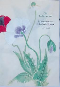 Un herbier-monde :